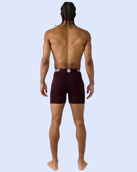 Man wearing dark burgundy boxer briefs with branded waistband, shown from back against light blue background.