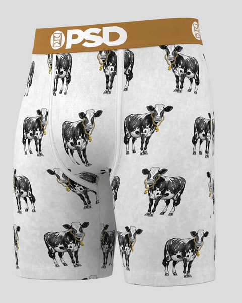 Cash Cow XS / MULTI