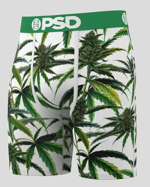 Buds & Bloom XS / MULTI