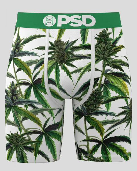Buds & Bloom XS / MULTI